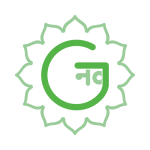 NavGuru Company Logo